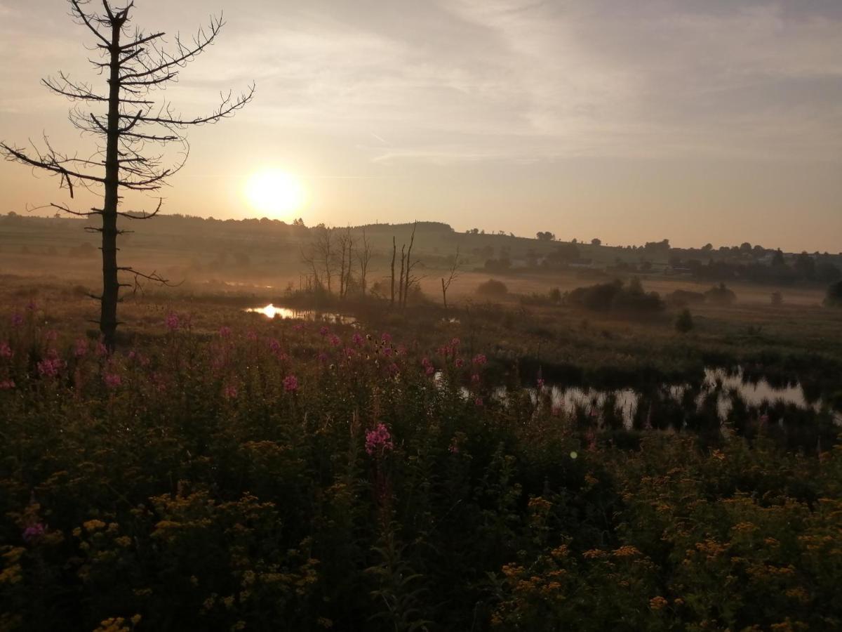 Eifel Lodge بوتغينباخ المظهر الخارجي الصورة
